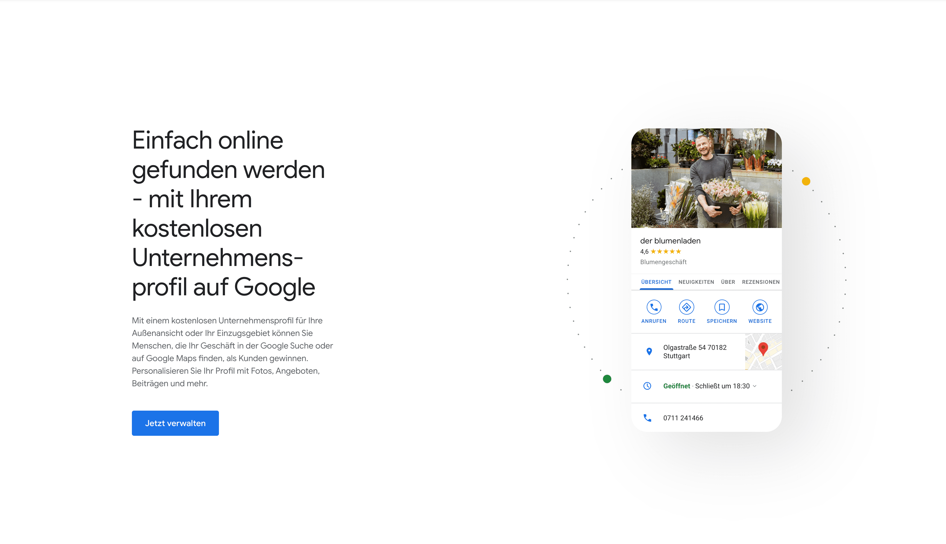 Google Business Profile - Performance Insights